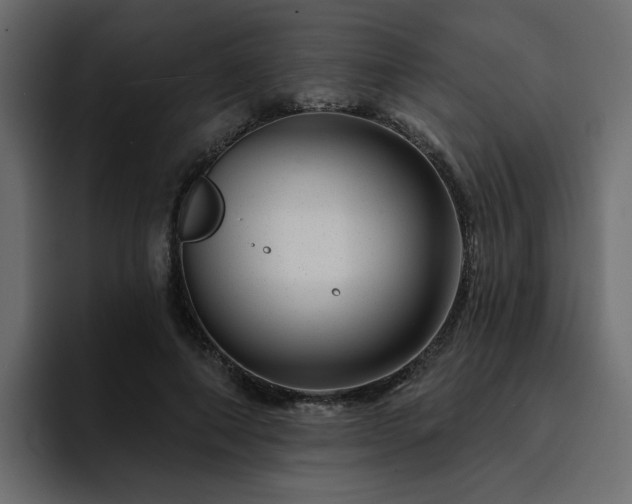 X0000095130690200712141157