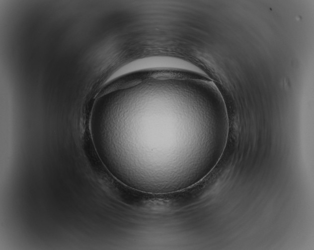 X0000095130691200712141157