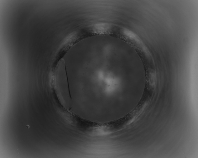 X0000095130696200712141157