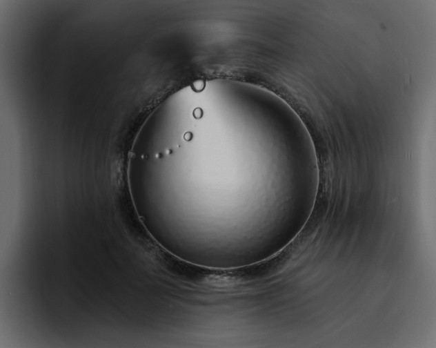 X0000095130699200712141157