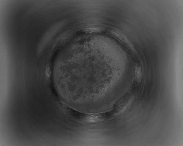 X0000095130701200712141156