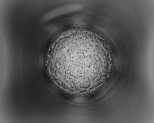 X0000095130705200712141156