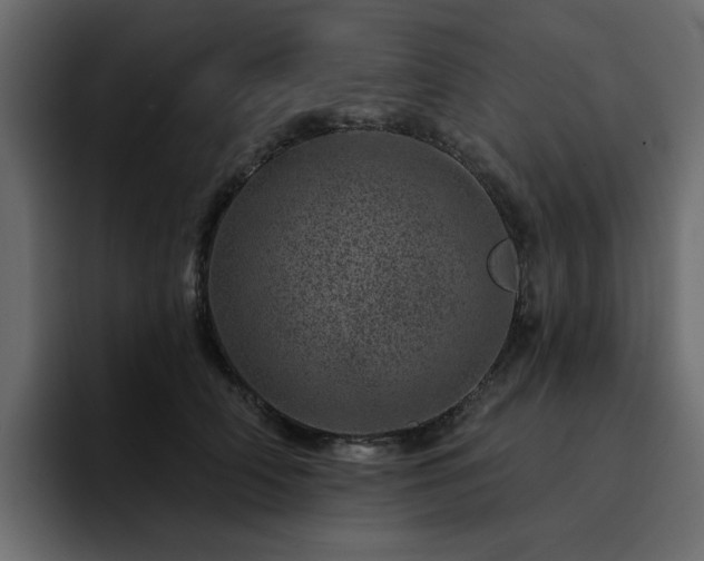 X0000095130706200712141156