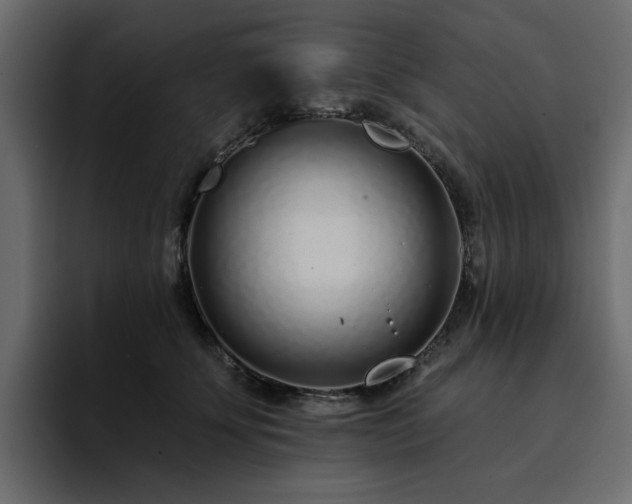 X0000095130707200712141156