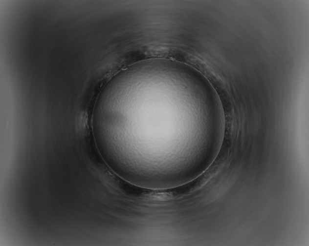 X0000095130711200712141156