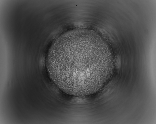 X0000095130713200712141156