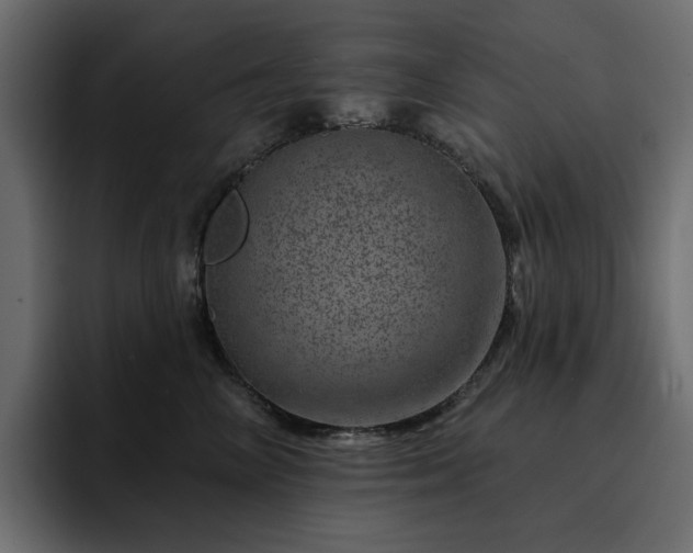 X0000095130714200712141156