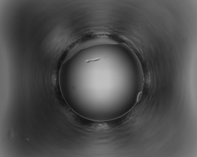 X0000095130715200712141156