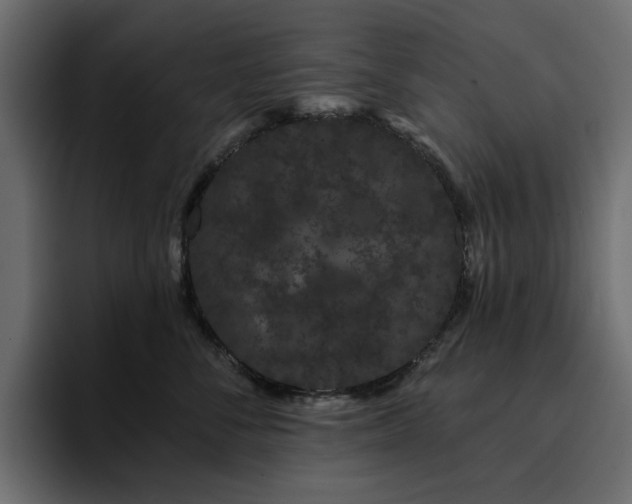 X0000095130716200712141156