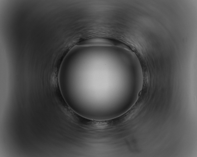 X0000095130719200712141156