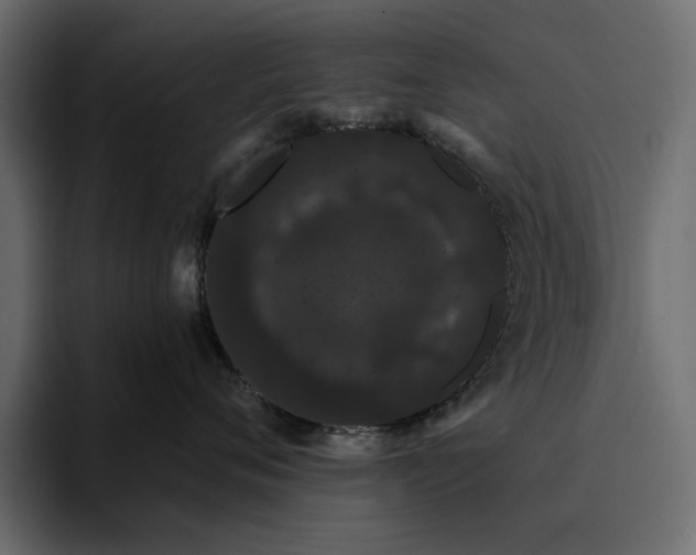 X0000095130720200712141156