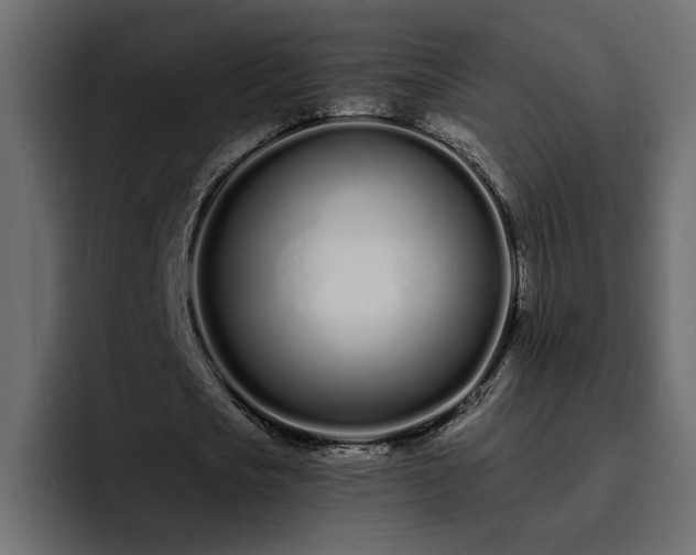 X0000095130721200712141156