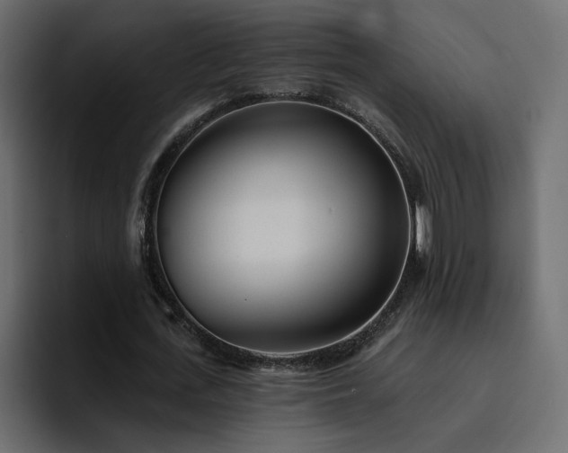 X0000095130723200712141156