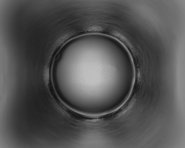 X0000095130725200712141156