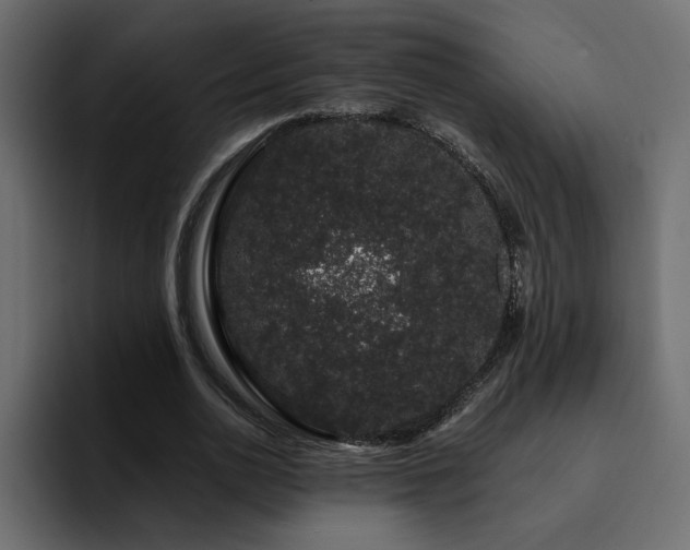 X0000095130726200712141156