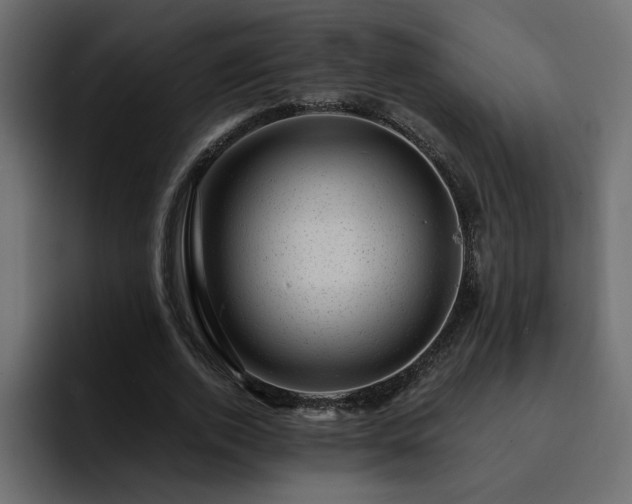 X0000095130728200712141156