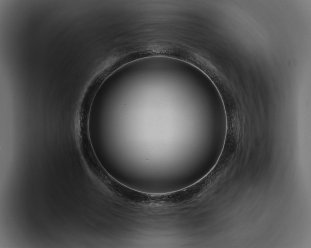 X0000095130730200712141156