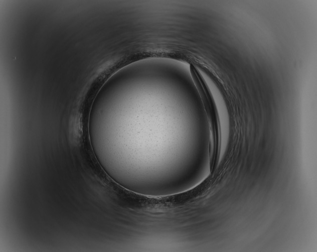 X0000095130731200712141156