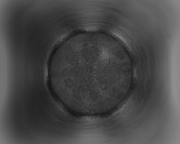 X0000095130733200712141156