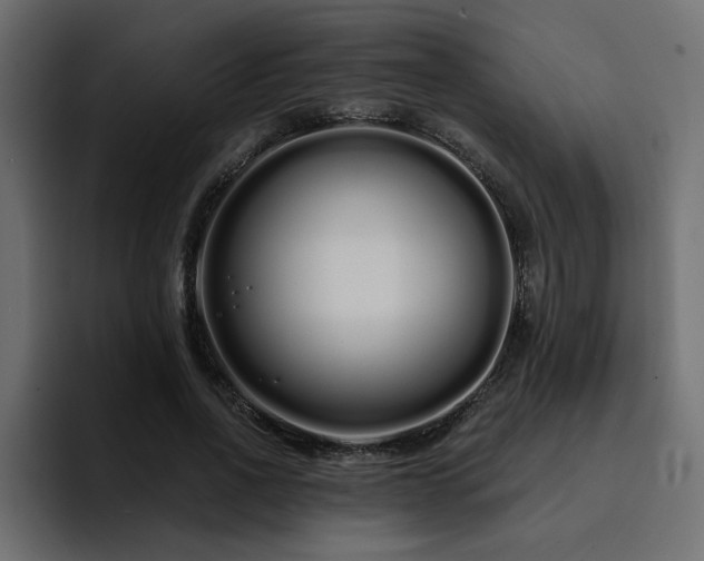 X0000095130734200712141156