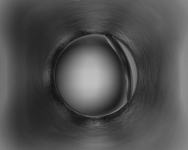 X0000095130735200712141156