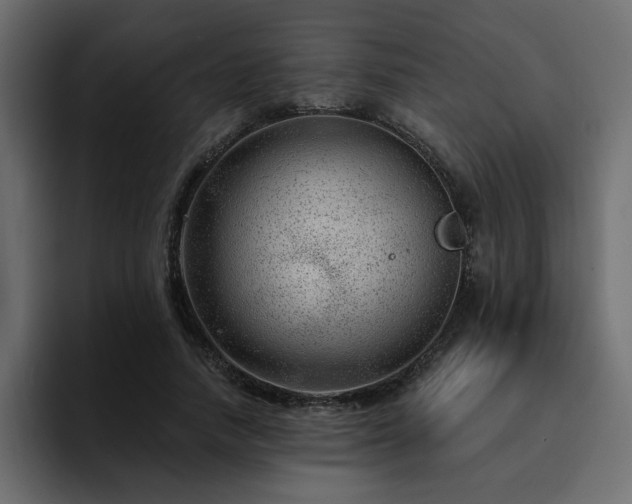 X0000095130738200712141156