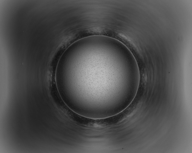 X0000095130739200712141156