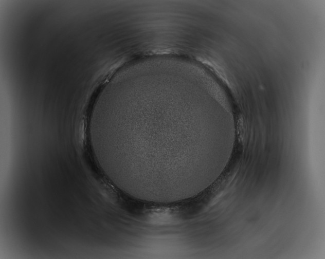 X0000095130740200712141156