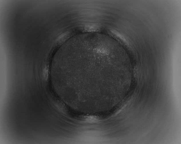 X0000095130741200712141156