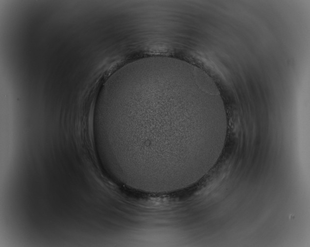 X0000095130744200712141156