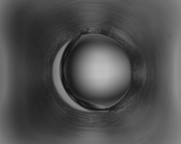 X0000095130748200712141156