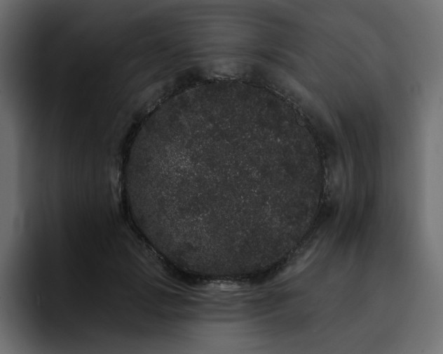 X0000095130749200712141156