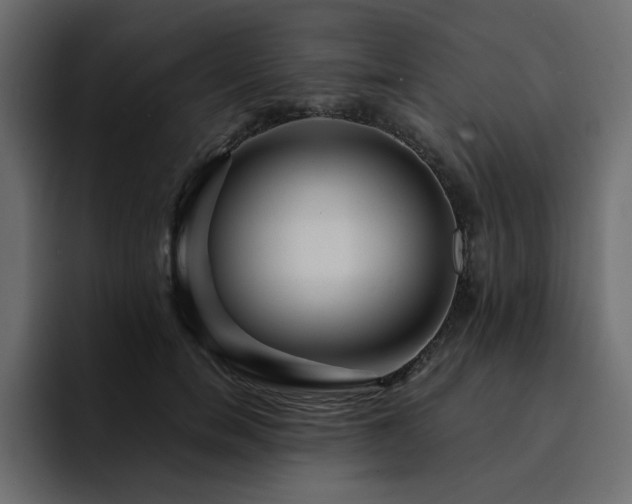 X0000095130750200712141156