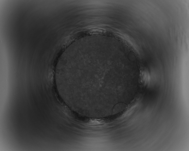 X0000095130753200712141156