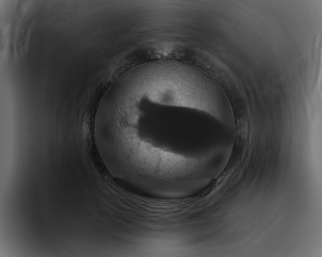 X0000095130754200712141156