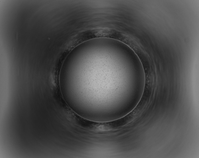 X0000095130755200712141156