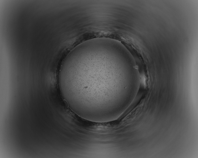 X0000095130756200712141156