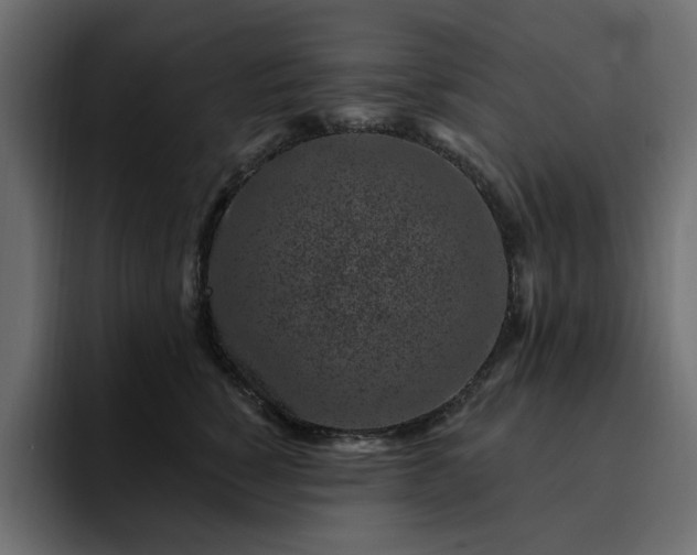 X0000095130760200712141156