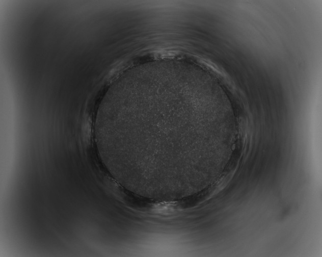 X0000095130761200712141156