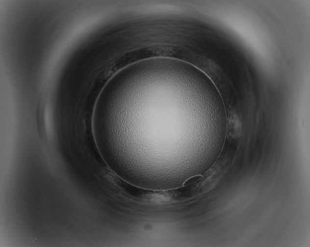 X0000095130765200712141156