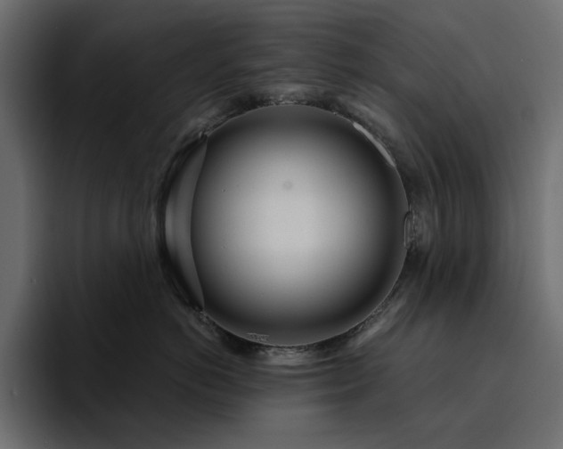 X0000095130766200712141156