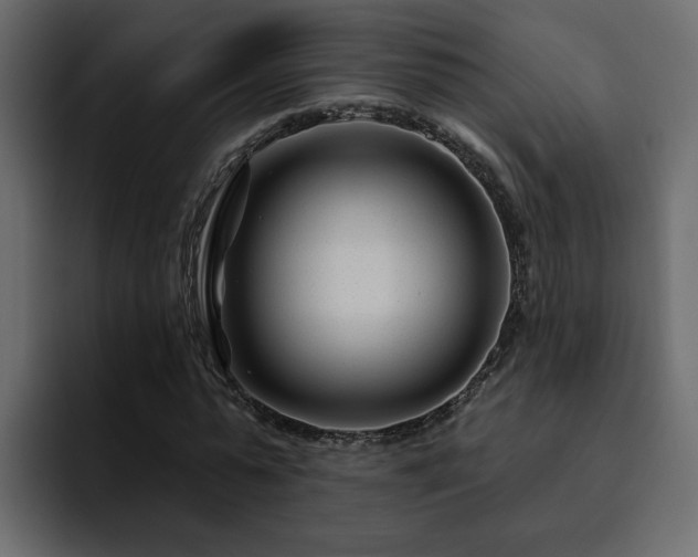 X0000095130775200712141156