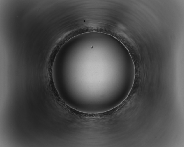 X0000095130776200712141156