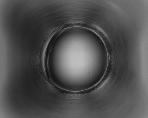 X0000095130777200712141155