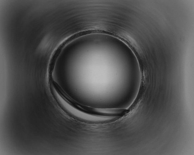 X0000095130780200712141155