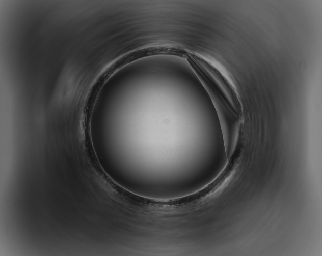 X0000095130783200712141155