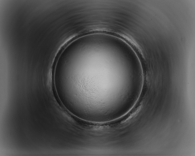 X0000095130790200712141155