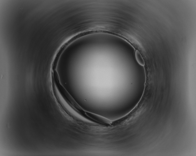 X0000095130792200712141155