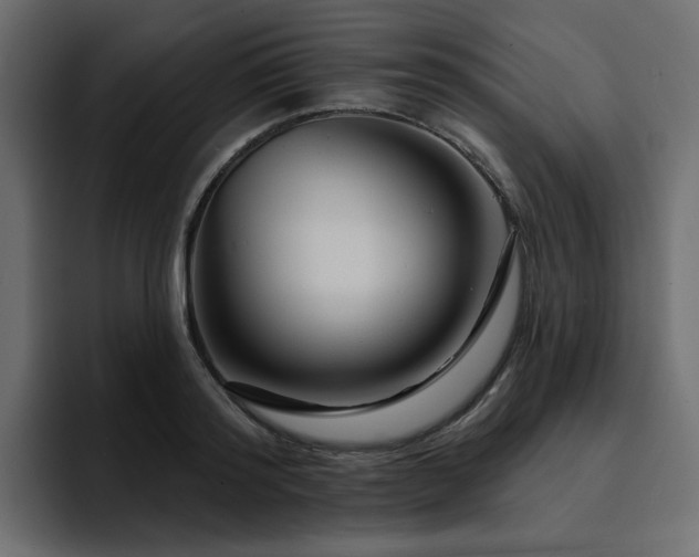 X0000095130796200712141155