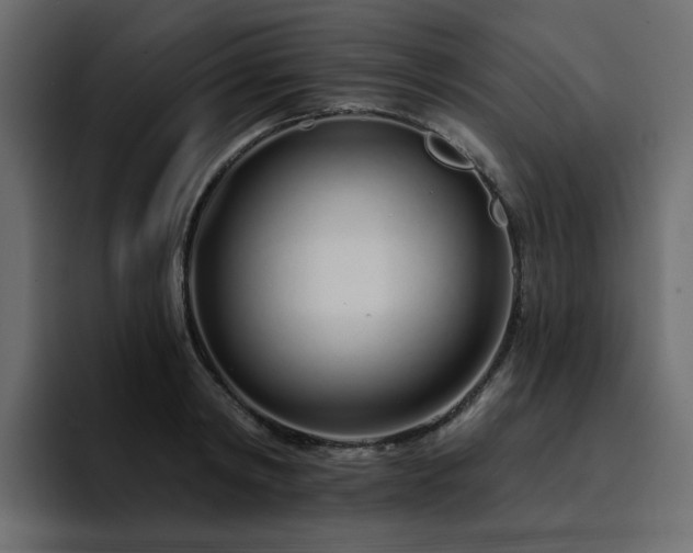 X0000095130798200712141155